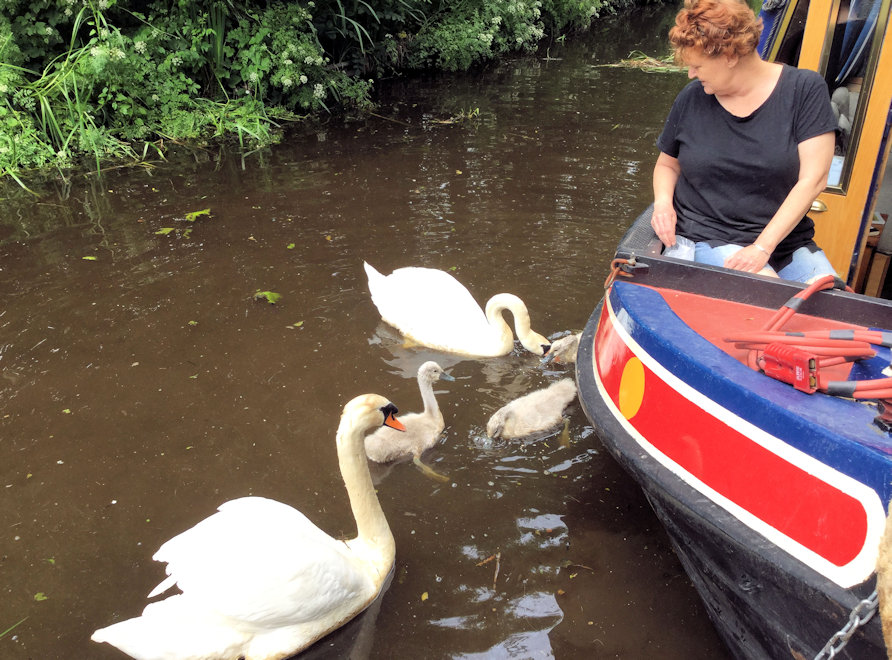 Polly and Swans photograph